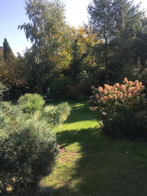 Villa Dom Z Ogrodem Blisko Centrum *